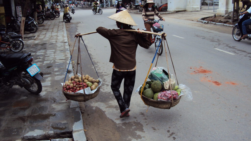 viet nam 2010 343